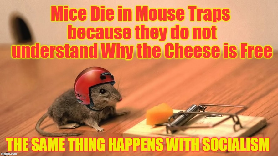 Mice Die in Mouse Traps because they do not understand Why the Cheese is Free; THE SAME THING HAPPENS WITH SOCIALISM | made w/ Imgflip meme maker