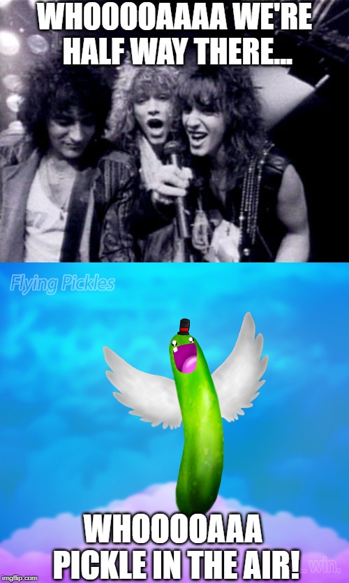 Living on a......Pickle | WHOOOOAAAA WE'RE HALF WAY THERE... WHOOOOAAA PICKLE IN THE AIR! | image tagged in bon jovi | made w/ Imgflip meme maker