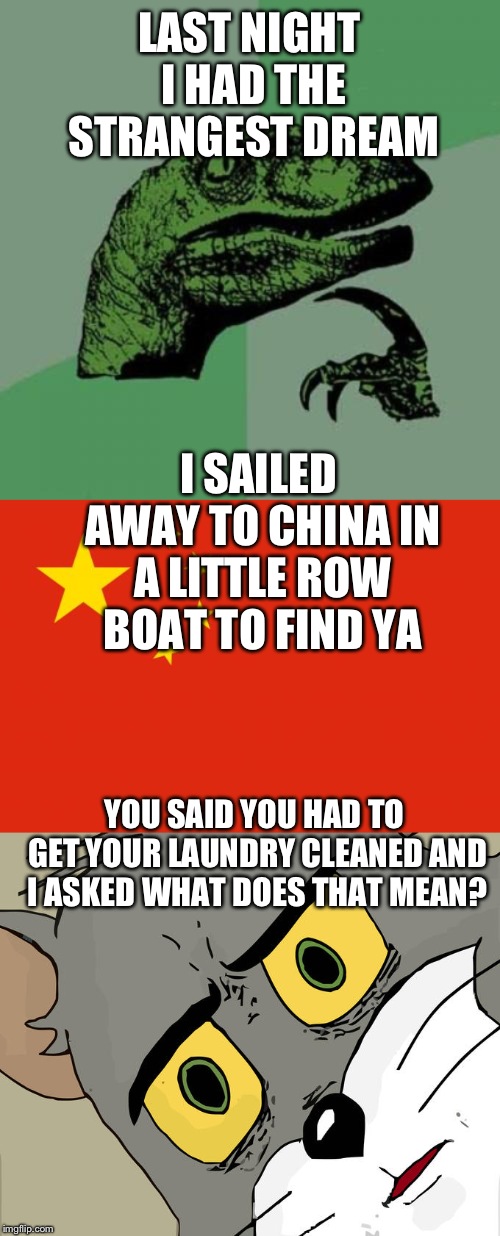 Ain't nothing gonna break my style | LAST NIGHT I HAD THE STRANGEST DREAM; I SAILED AWAY TO CHINA IN A LITTLE ROW BOAT TO FIND YA; YOU SAID YOU HAD TO GET YOUR LAUNDRY CLEANED AND I ASKED WHAT DOES THAT MEAN? | image tagged in memes,philosoraptor,china flag,unsettled tom | made w/ Imgflip meme maker