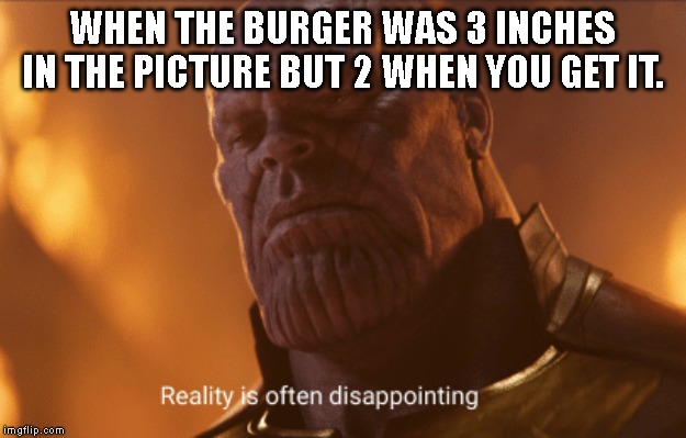 Reality is often dissapointing | WHEN THE BURGER WAS 3 INCHES IN THE PICTURE BUT 2 WHEN YOU GET IT. | image tagged in reality is often dissapointing | made w/ Imgflip meme maker