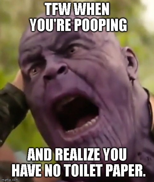 Thanos Scream | TFW WHEN YOU'RE POOPING; AND REALIZE YOU HAVE NO TOILET PAPER. | image tagged in thanos scream | made w/ Imgflip meme maker