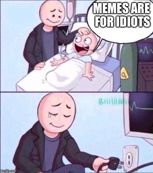 priorities | MEMES ARE FOR IDIOTS | image tagged in priorities | made w/ Imgflip meme maker