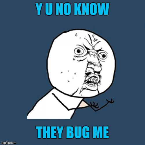 Y U No Meme | Y U NO KNOW THEY BUG ME | image tagged in memes,y u no | made w/ Imgflip meme maker