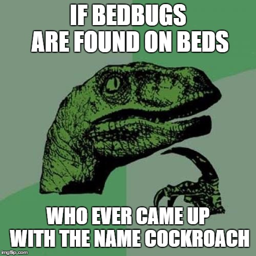 Philosoraptor | IF BEDBUGS ARE FOUND ON BEDS; WHO EVER CAME UP WITH THE NAME COCKROACH | image tagged in memes,philosoraptor,bedbugs,cockroach,random | made w/ Imgflip meme maker