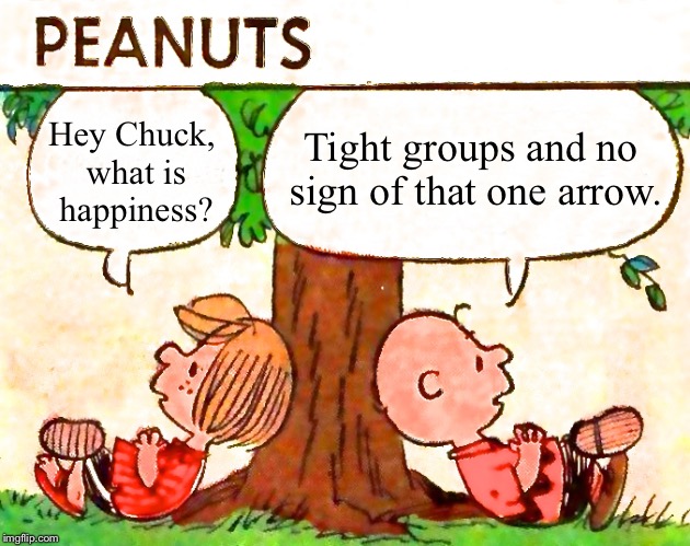 Archery happiness | Tight groups and no sign of that one arrow. Hey Chuck, what is happiness? | image tagged in peanuts charlie brown peppermint patty,archery | made w/ Imgflip meme maker