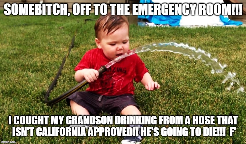 SOMEBITCH, OFF TO THE EMERGENCY ROOM!!! I COUGHT MY GRANDSON DRINKING FROM A HOSE THAT ISN'T CALIFORNIA APPROVED!! HE'S GOING TO DIE!!!  F' | image tagged in hose | made w/ Imgflip meme maker