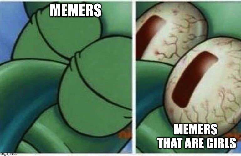 Squidward | MEMERS; MEMERS THAT ARE GIRLS | image tagged in squidward | made w/ Imgflip meme maker