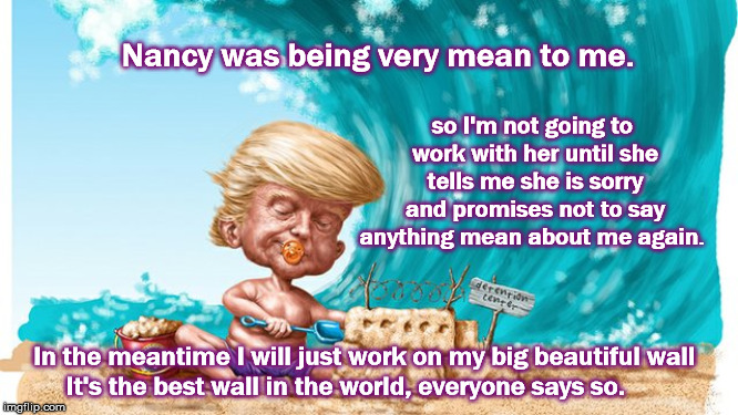Nancy Pelosi is being mean to Donald Trump | so I'm not going to work with her until she tells me she is sorry and promises not to say anything mean about me again. Nancy was being very mean to me. In the meantime I will just work on my big beautiful wall; It's the best wall in the world, everyone says so. | image tagged in nancy pelosi,donald trump,baby donald trump,todays gop,republicans,the wall | made w/ Imgflip meme maker