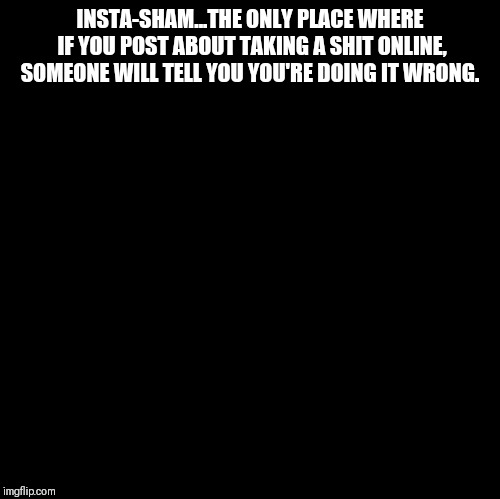 Blank | INSTA-SHAM...THE ONLY PLACE WHERE IF YOU POST ABOUT TAKING A SHIT ONLINE, SOMEONE WILL TELL YOU YOU'RE DOING IT WRONG. | image tagged in blank | made w/ Imgflip meme maker