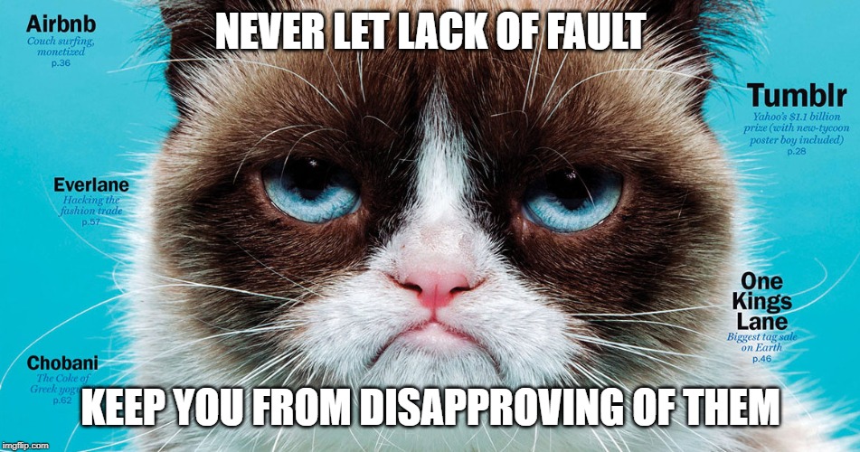 NEVER LET LACK OF FAULT; KEEP YOU FROM DISAPPROVING OF THEM | made w/ Imgflip meme maker