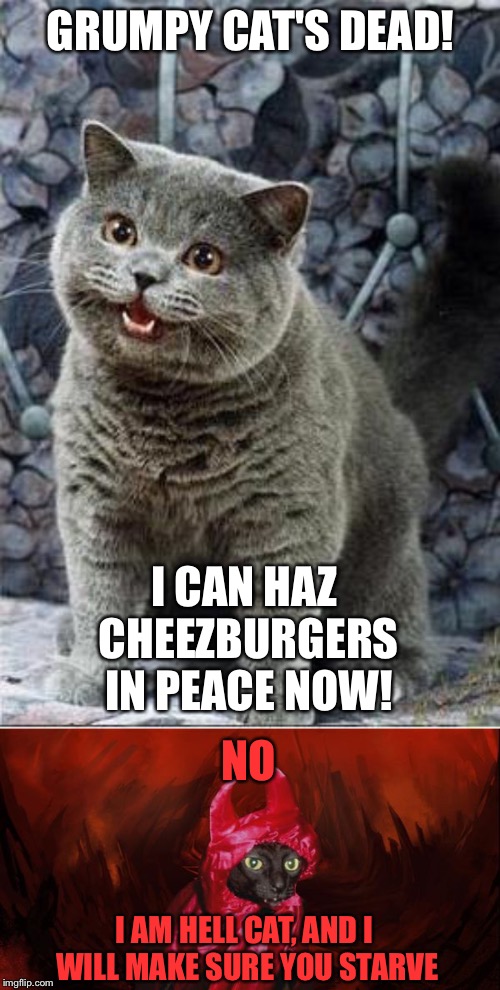 The Replacement of Grumpy Cat | GRUMPY CAT'S DEAD! I CAN HAZ CHEEZBURGERS IN PEACE NOW! NO; I AM HELL CAT, AND I WILL MAKE SURE YOU STARVE | image tagged in i can has cheezburger cat,hell cat,meme comments,rip grumpy cat,memes | made w/ Imgflip meme maker