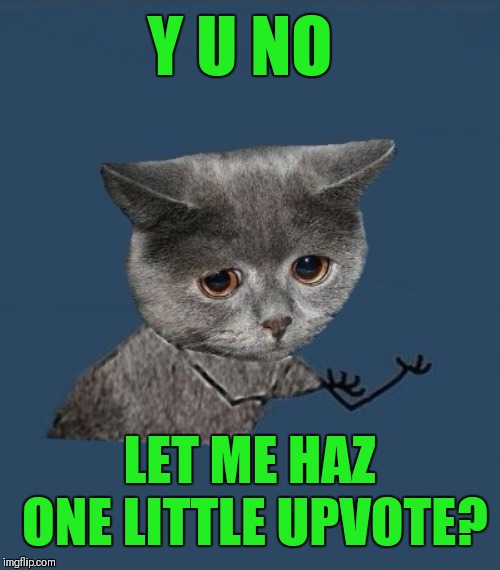 Plz let me haz | Y U NO; LET ME HAZ ONE LITTLE UPVOTE? | image tagged in y u no sad cat,upvotes,44colt | made w/ Imgflip meme maker