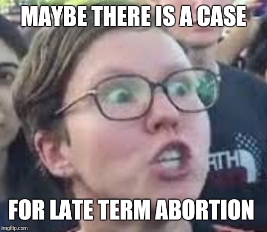 SJW | MAYBE THERE IS A CASE; FOR LATE TERM ABORTION | image tagged in sjw | made w/ Imgflip meme maker