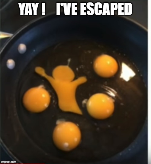 egg scaped |  YAY !    I'VE ESCAPED | image tagged in egg,fry | made w/ Imgflip meme maker