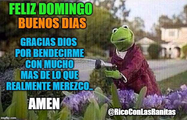 Kermit Watering Plants | FELIZ DOMINGO; GRACIAS DIOS POR BENDECIRME CON MUCHO MAS DE LO QUE REALMENTE MEREZCO.. BUENOS DIAS; AMEN; @RicoConLasRanitas | image tagged in kermit watering plants | made w/ Imgflip meme maker