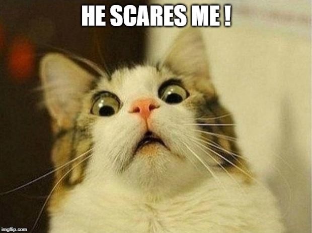 Scared Cat Meme | HE SCARES ME ! | image tagged in memes,scared cat | made w/ Imgflip meme maker