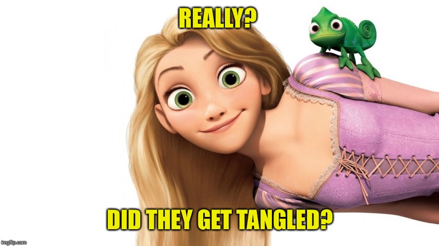Really? Tangled | REALLY? DID THEY GET TANGLED? | image tagged in really tangled | made w/ Imgflip meme maker