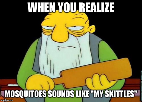 Get away from my skittles. | WHEN YOU REALIZE; MOSQUITOES SOUNDS LIKE "MY SKITTLES" | image tagged in memes,that's a paddlin' | made w/ Imgflip meme maker