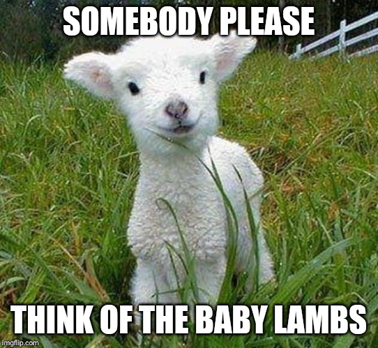 SOMEBODY PLEASE; THINK OF THE BABY LAMBS | made w/ Imgflip meme maker