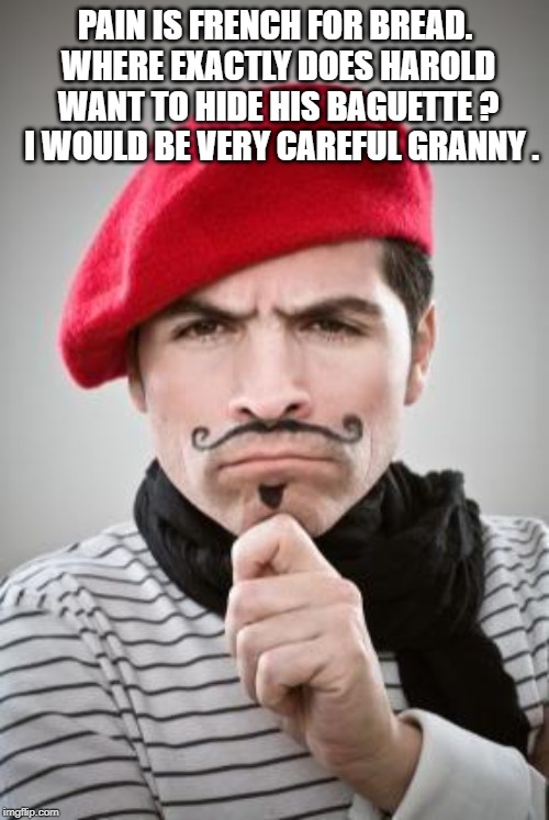 Frenchman | PAIN IS FRENCH FOR BREAD. WHERE EXACTLY DOES HAROLD WANT TO HIDE HIS BAGUETTE ?  I WOULD BE VERY CAREFUL GRANNY . | image tagged in frenchman | made w/ Imgflip meme maker