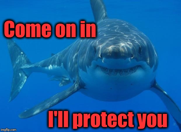 Straight White Shark | Come on in I'll protect you | image tagged in straight white shark | made w/ Imgflip meme maker