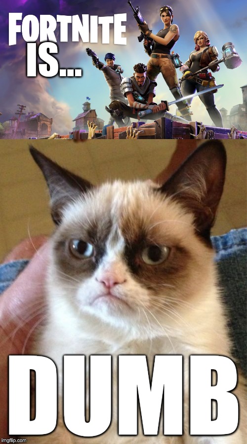 What Is Fortnite | IS... DUMB | image tagged in memes,grumpy cat,fortnite | made w/ Imgflip meme maker