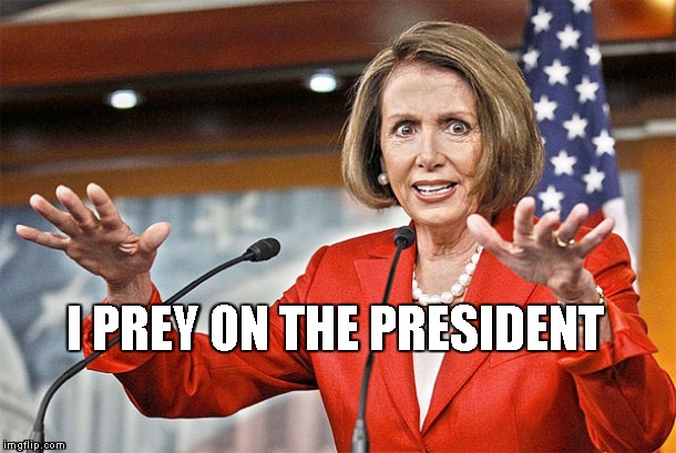 Nancy Pelosi is crazy | I PREY ON THE PRESIDENT | image tagged in nancy pelosi is crazy | made w/ Imgflip meme maker
