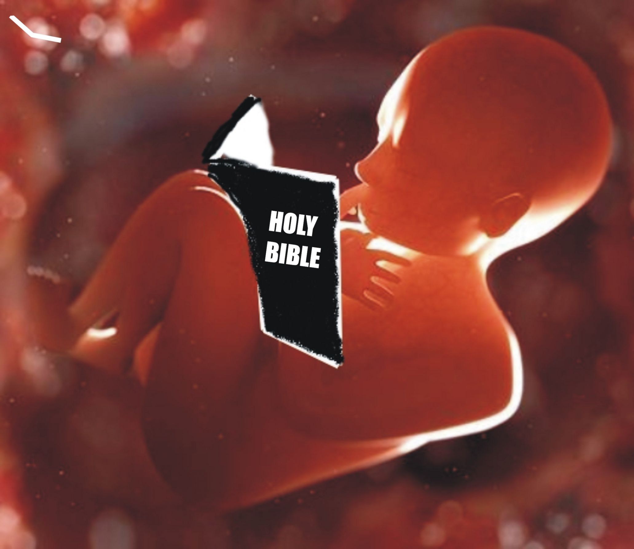 High Quality Bible Baby Blank Meme Template