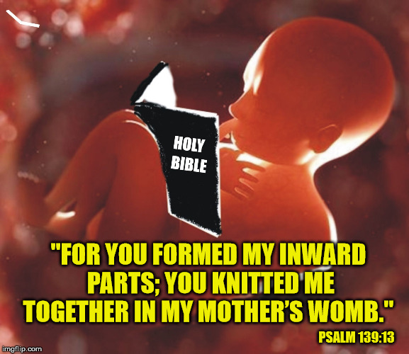 Every life a special gift from God | "FOR YOU FORMED MY INWARD PARTS; YOU KNITTED ME TOGETHER IN MY MOTHER’S WOMB."; PSALM 139:13 | image tagged in bible baby,pro life,right to life,god is love,abortion is murder | made w/ Imgflip meme maker