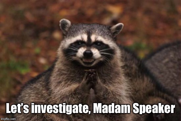 Evil racoon | Let’s investigate, Madam Speaker | image tagged in evil racoon | made w/ Imgflip meme maker