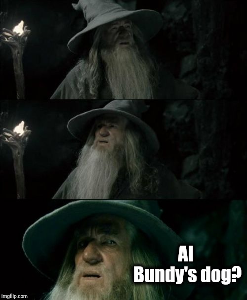 Confused Gandalf Meme | Al Bundy's dog? | image tagged in memes,confused gandalf | made w/ Imgflip meme maker