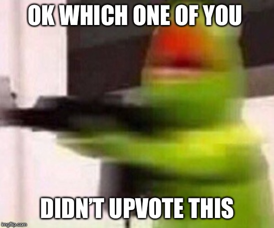 school shooter (muppet) | OK WHICH ONE OF YOU; DIDN’T UPVOTE THIS | image tagged in school shooter muppet | made w/ Imgflip meme maker