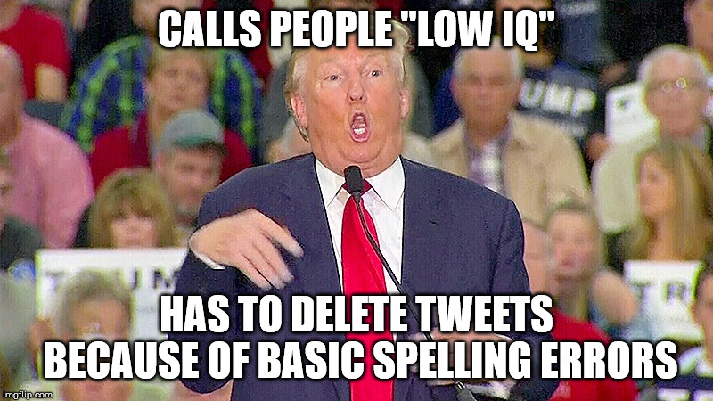 Trump Mocks Reporter | CALLS PEOPLE "LOW IQ"; HAS TO DELETE TWEETS BECAUSE OF BASIC SPELLING ERRORS | image tagged in trump mocks reporter | made w/ Imgflip meme maker