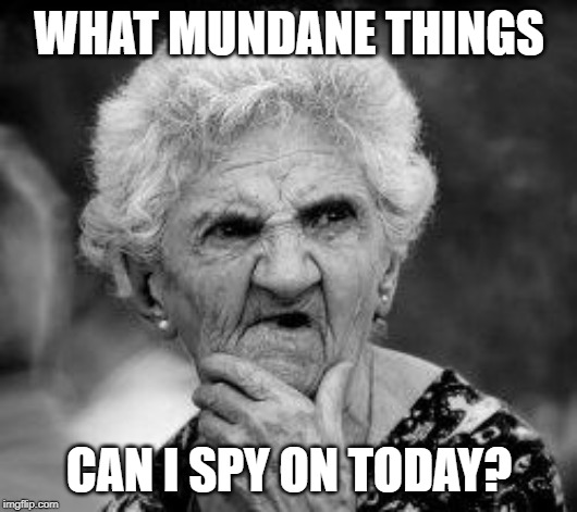 confused old lady | WHAT MUNDANE THINGS CAN I SPY ON TODAY? | image tagged in confused old lady | made w/ Imgflip meme maker