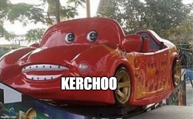 kerchoo | KERCHOO | image tagged in memes | made w/ Imgflip meme maker