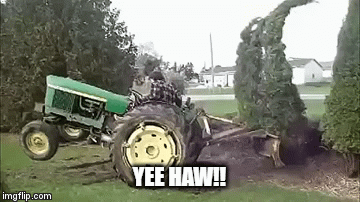 YEE HAW!! | image tagged in gifs | made w/ Imgflip video-to-gif maker