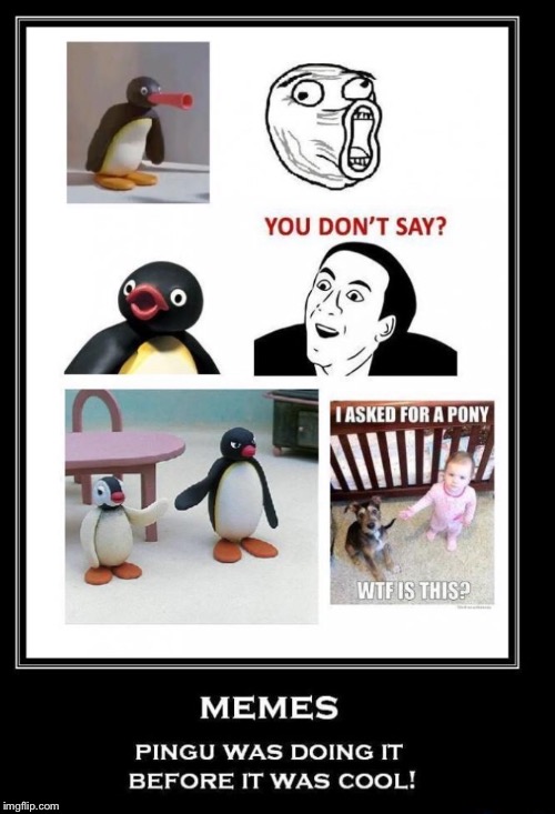 Pingu | image tagged in pingu,funny | made w/ Imgflip meme maker