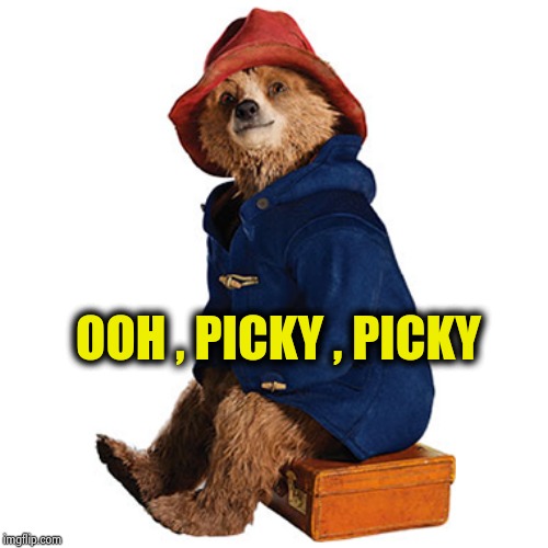 Picky Paddington Bear | OOH , PICKY , PICKY | image tagged in picky paddington bear | made w/ Imgflip meme maker