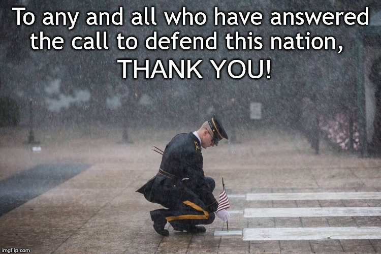 Memorial Day 2019 | To any and all who have answered the call to defend this nation, THANK YOU! | image tagged in memorial day,fallen soldiers,us soldiers | made w/ Imgflip meme maker