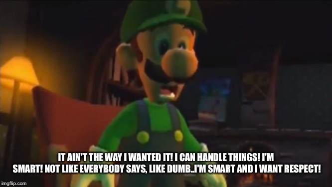 I know it was you Luigii | IT AIN'T THE WAY I WANTED IT! I CAN HANDLE THINGS! I'M SMART! NOT LIKE EVERYBODY SAYS, LIKE DUMB..I'M SMART AND I WANT RESPECT! | image tagged in luigi | made w/ Imgflip meme maker