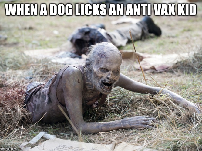 The Walking Dead Crawling Zombie | WHEN A DOG LICKS AN ANTI VAX KID | image tagged in the walking dead crawling zombie | made w/ Imgflip meme maker