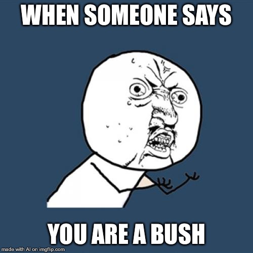 Y U No Meme | WHEN SOMEONE SAYS; YOU ARE A BUSH | image tagged in memes,y u no | made w/ Imgflip meme maker