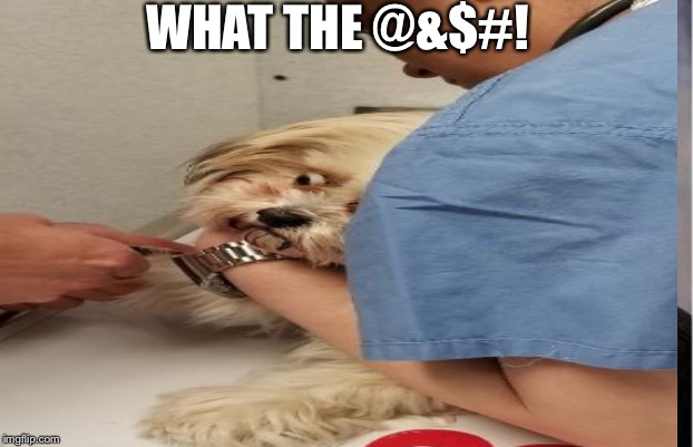 WHAT THE @&$#! | image tagged in wtf | made w/ Imgflip meme maker