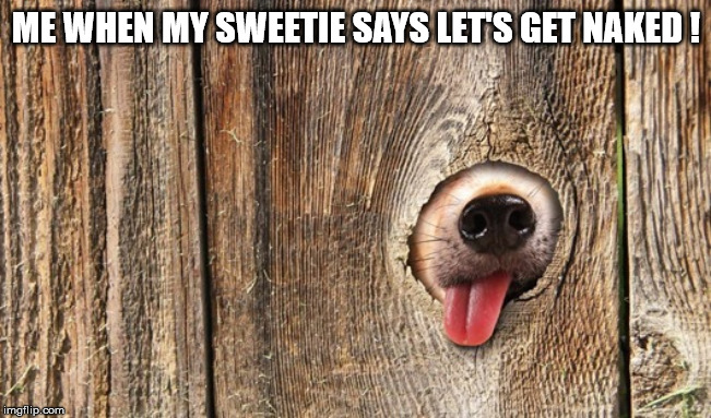 ME WHEN MY SWEETIE SAYS
LET'S GET NAKED ! | image tagged in fun | made w/ Imgflip meme maker