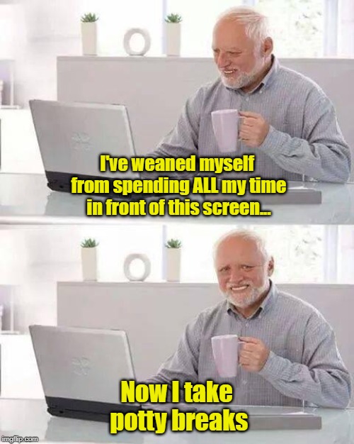 Because Those Depends Can Be So Expensive | I've weaned myself from spending ALL my time in front of this screen... Now I take potty breaks | image tagged in memes,hide the pain harold,addiction | made w/ Imgflip meme maker