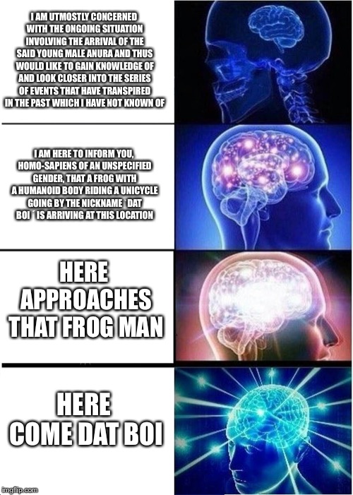 Expanding Brain Meme | I AM UTMOSTLY CONCERNED WITH THE ONGOING SITUATION INVOLVING THE ARRIVAL OF THE SAID YOUNG MALE ANURA AND THUS WOULD LIKE TO GAIN KNOWLEDGE OF AND LOOK CLOSER INTO THE SERIES OF EVENTS THAT HAVE TRANSPIRED IN THE PAST WHICH I HAVE NOT KNOWN OF; I AM HERE TO INFORM YOU, HOMO-SAPIENS OF AN UNSPECIFIED GENDER, THAT A FROG WITH A HUMANOID BODY RIDING A UNICYCLE GOING BY THE NICKNAME ˋDAT BOI ´ IS ARRIVING AT THIS LOCATION; HERE APPROACHES THAT FROG MAN; HERE COME DAT BOI | image tagged in memes,expanding brain | made w/ Imgflip meme maker