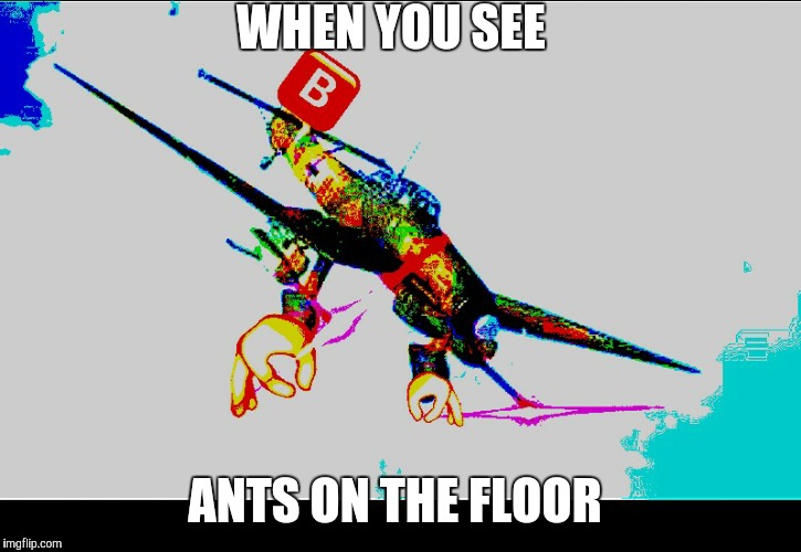 Ants | WHEN YOU SEE; ANTS ON THE FLOOR | image tagged in stuka angry,stuka,ants,plane,german | made w/ Imgflip meme maker