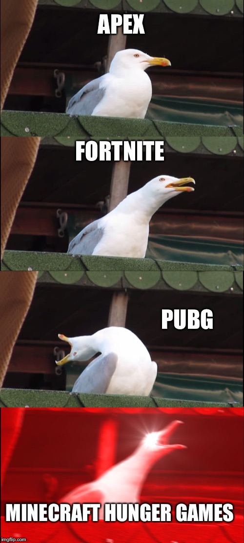 Inhaling Seagull | APEX; FORTNITE; PUBG; MINECRAFT HUNGER GAMES | image tagged in memes,inhaling seagull | made w/ Imgflip meme maker