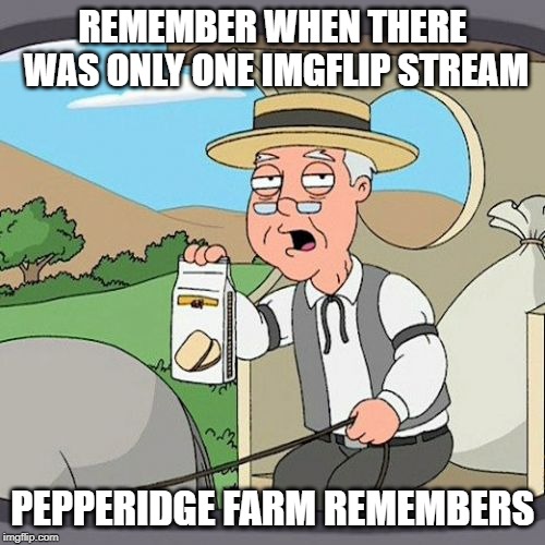 Pepperidge Farm Remembers Meme | REMEMBER WHEN THERE WAS ONLY ONE IMGFLIP STREAM; PEPPERIDGE FARM REMEMBERS | image tagged in memes,pepperidge farm remembers | made w/ Imgflip meme maker
