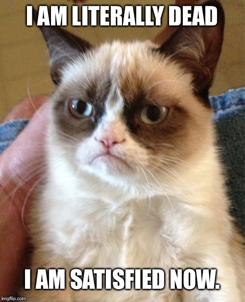 Grumpy Cat | I AM LITERALLY DEAD; I AM SATISFIED NOW. | image tagged in memes,grumpy cat | made w/ Imgflip meme maker